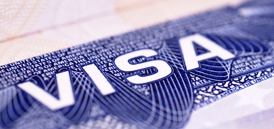 Visa support in Maxima Irbis