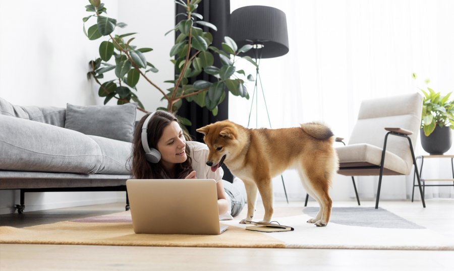 Pet-friendly accommodation in Maxima Irbis
